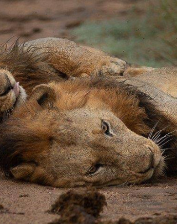 07Tyron Van Der Walt NWashishaka Males 160420 2 Final