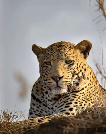 44Louise Murray WD 03092020 Edit Final 44Louise Murray WD 03092020 Edit Final