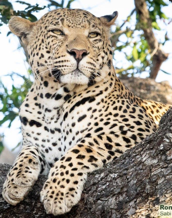 B19ronald Mutero White Dam 01082021 Final