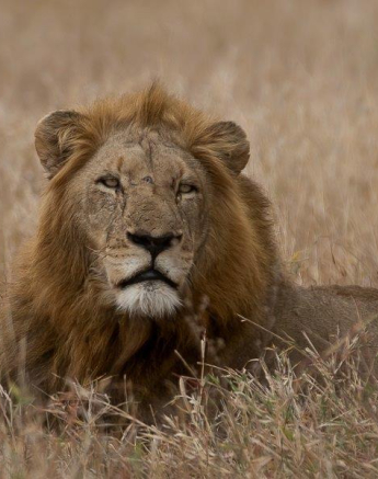 B22Tyron Van Der Walt Nwashishaka 300721 1 Final