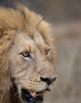 A13Graeme Stewart Nwas Male 030921 Final