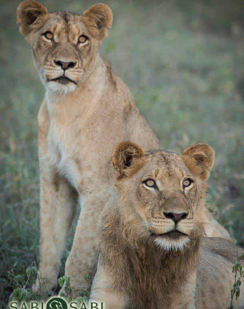 18Terry Ennever SP 17118 3 Final