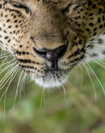 13Kyle 3 Feb Max Patrol 2 Final 13Kyle 3 Feb Max Patrol 2 Final