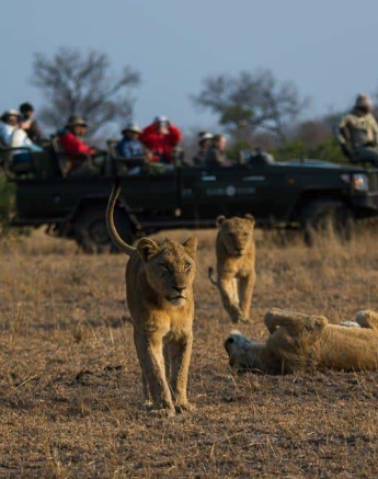 1 Kevan Dobbie Mhangeni 160818 Final