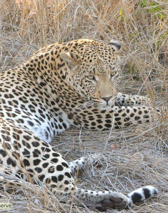 19Ronald Mutero White Dam 04102019 2 Final 19Ronald Mutero White Dam 04102019 2 Final