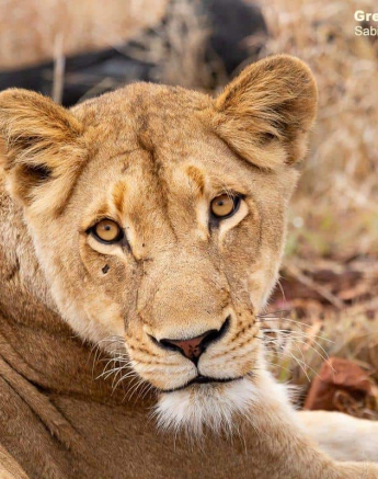 12Greg Heasman Sp 020920 2 Final 12Greg Heasman Sp 020920 2 Final