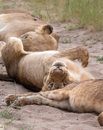 A07ronald Mutero Nwash Nd Stix 24012022 3 Final