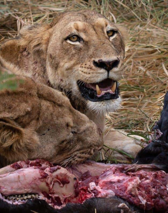 13Kerry Lee Roberg SP2400519.3 Final 13Kerry Lee Roberg SP2400519.3 Final