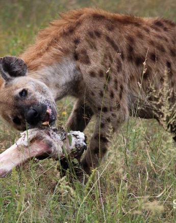 10857173 813099848737668 4290755157299701393 O