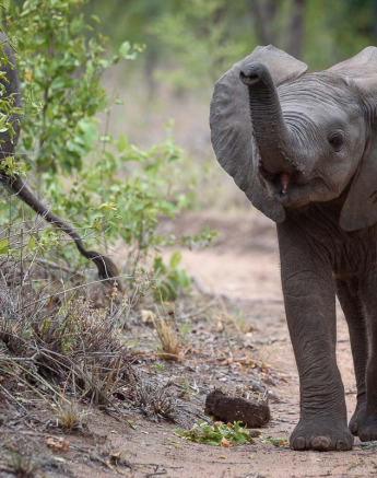 16Mike Palmer Ellies 160116 3 16Mike Palmer Ellies 160116 3