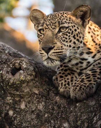 31Terry Ennever MMWD 2018428 3 Final