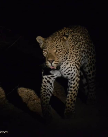 12Ronald Mutero Wd 17102019 Final