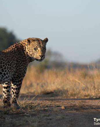 01Tyron Van Der Walt White Dam 020620 1 Final