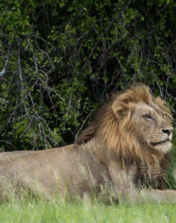 15Graeme Stewart Nwas Male 030121 Final