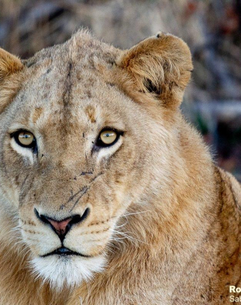 29ronald Mutero Ottawa Break Away 15062021 2 Final 29ronald Mutero Ottawa Break Away 15062021 2 Final