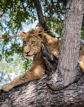 05Kevan Dobbie SP 2310.6 Final