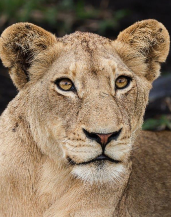 A47Coenraad Stapelberg Styx 051222 5 Final