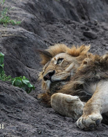 10626431 810021869045466 2667788481960850745 O