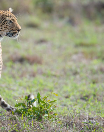 04Terry Ennever Highlights Sept Oct 12