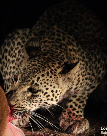 12Louise Murray Ntsumi 27052020 11 Final 12Louise Murray Ntsumi 27052020 11 Final