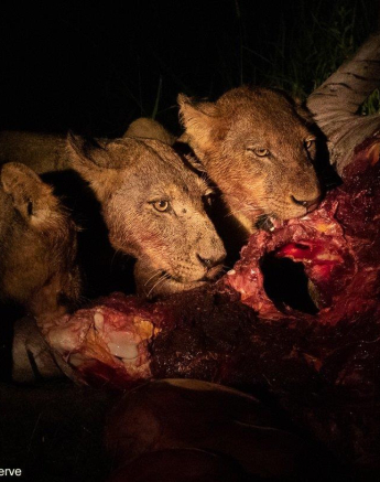 B10Jason Street Styx 140123 2. Final