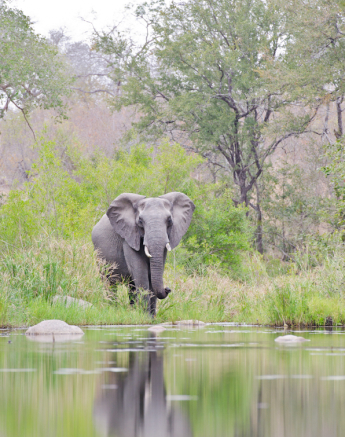 Week In Pictures 12 Week In Pictures 12