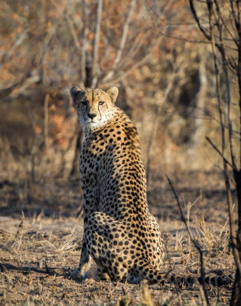 10304355 698036763577311 3085248877335499739 N