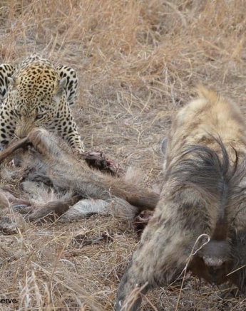 01Ronald Mutero Xovo 16102019 Final