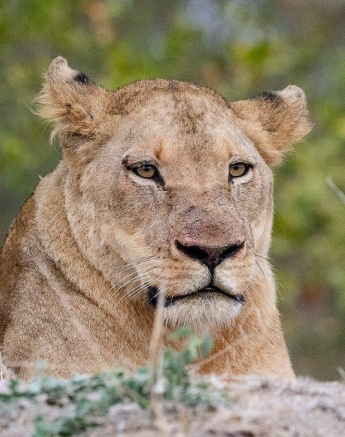 24ronald Mutero Stix And Nwash 18062021 Nr 3 Final 24ronald Mutero Stix And Nwash 18062021 Nr 3 Final