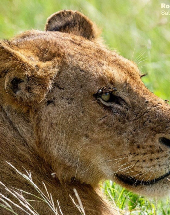 18ronald Mutero Kambula 02032021 3 Final