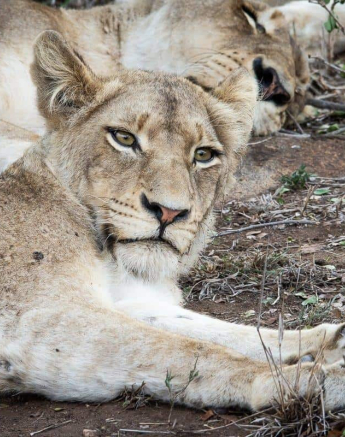 25Kerry Lee Roberg SP271118.4 Final