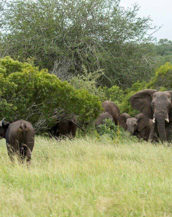 27Kyle 10 March Buff Ele Inter Final 27Kyle 10 March Buff Ele Inter Final