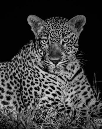 10Kerry Lee Roberg Msuthlu 181018 Final