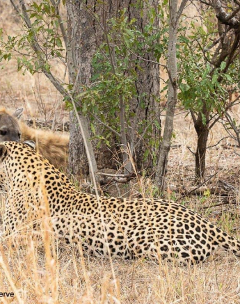 15Kevin Van Der Linde White Dam 31102019 3 Final 15Kevin Van Der Linde White Dam 31102019 3 Final