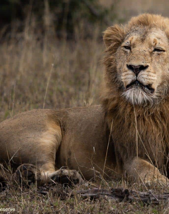 31Graeme Stewart Nwas Male 060920 3 Final 31Graeme Stewart Nwas Male 060920 3 Final