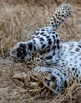 A16Ronald Mutero Ntsumi 29092021 Final