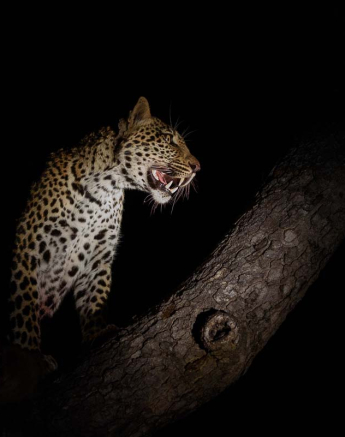 Mike Palmer Hlarulini 070316 8 Mike Palmer Hlarulini 070316 8