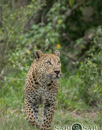 14Kyle 3 Feb Max Patrol 4 Final 14Kyle 3 Feb Max Patrol 4 Final