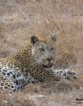 09Ronald Mutero Kigelia And Max 17102019 3 Final