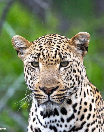 26ronaldmutero Nchila 22112020 6 Final 26ronaldmutero Nchila 22112020 6 Final