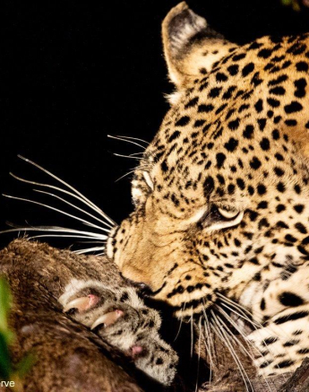 32ronald Mutero Mweti 17062021   11 Final 32ronald Mutero Mweti 17062021   11 Final