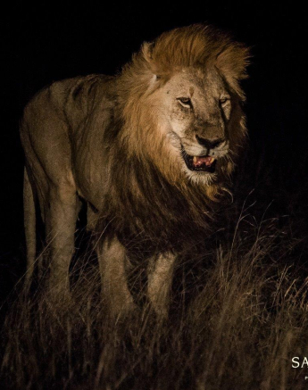 12Kevan Dobbie Matimba Males 1910.3 Final