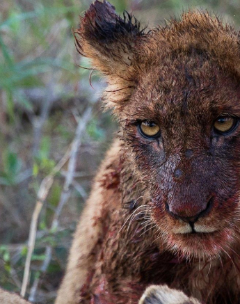 13Kevan Dobbie SP 2211.1 Final