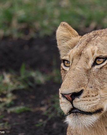 A46Coenraad Stapelberg Styx 051222 3 Final