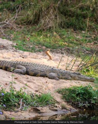 10258926 743621752352145 365738056130976465 O