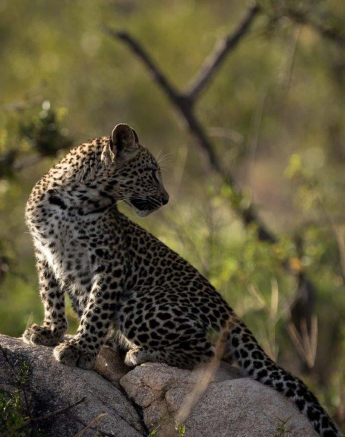 13Sheldon Hooper LBC Feeding 9 13Sheldon Hooper LBC Feeding 9