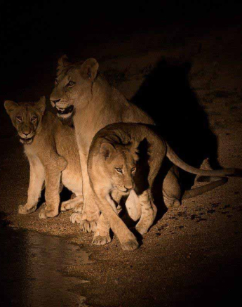 02Franscois Rosslee Sp 03022018 Final 02Franscois Rosslee Sp 03022018 Final