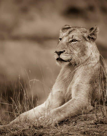 10 Terry Ennever SPMP 2018819 1 Final