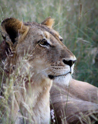 07Rebecca Boshoff SP 2 Final