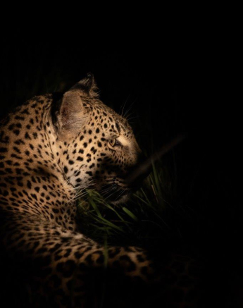 03Graeme Stewart Kigelia 071120  Final 03Graeme Stewart Kigelia 071120  Final